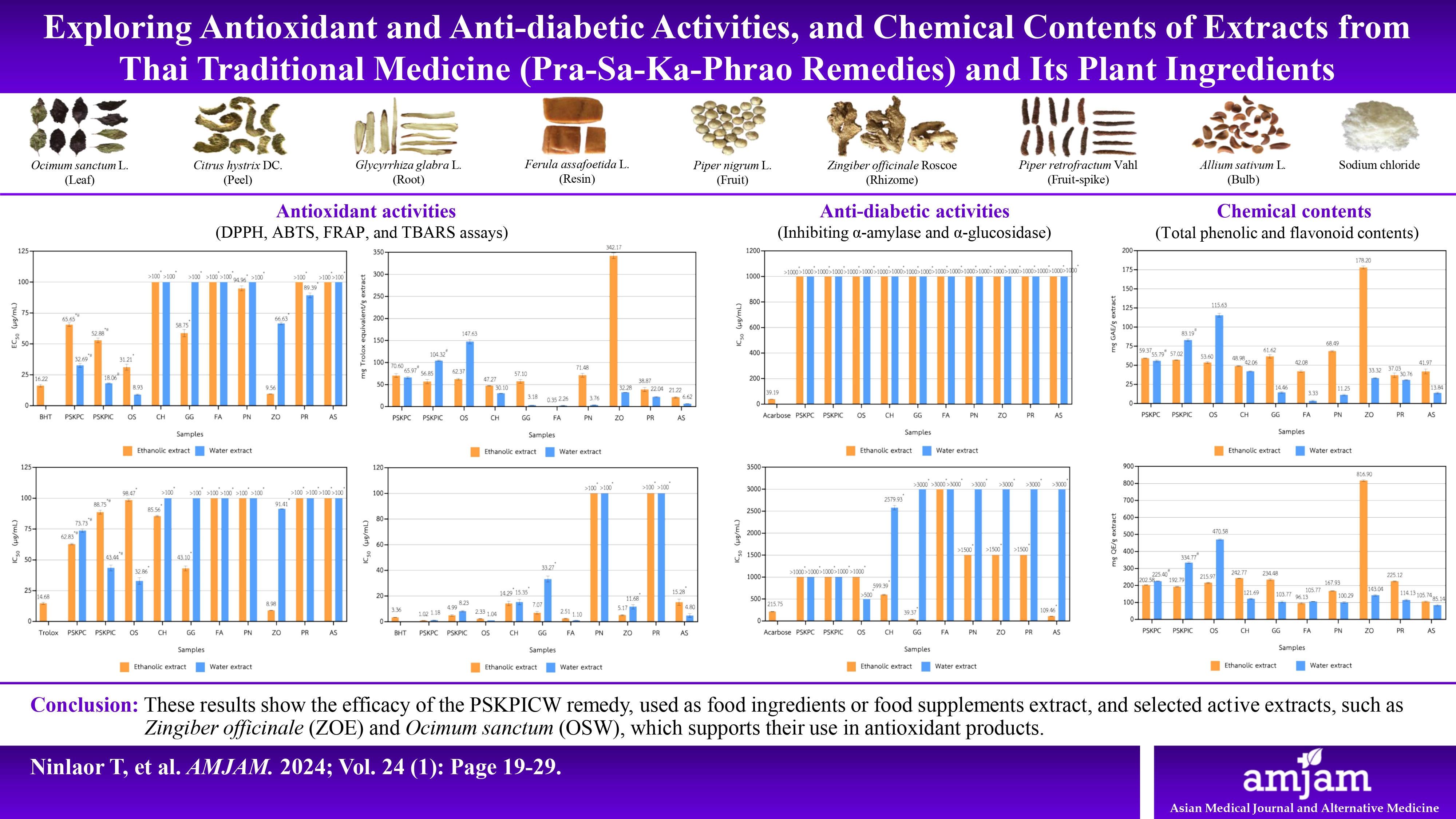 Graphical Abstract